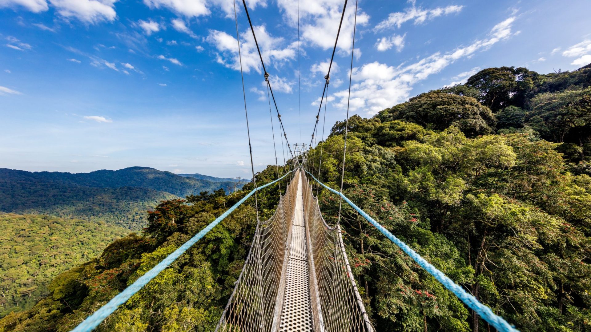 Nyungwe Forest National Park