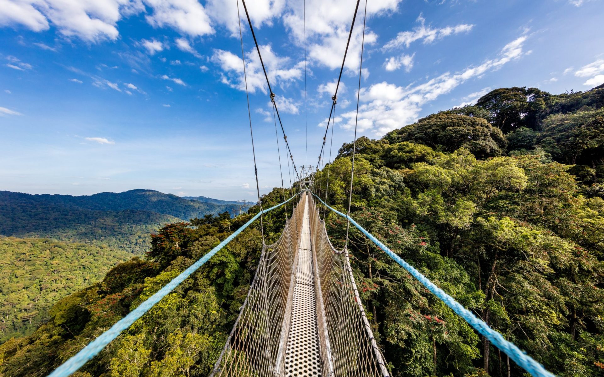 Nyungwe Forest National Park